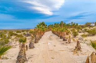 75775 Joe Davis Dr, 29 Palms MCB, CA 92277 - Photo 55