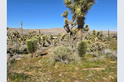 55000 Bunny Road, Yucca Valley, CA 92284 - Photo 3
