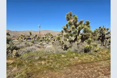 55000 Bunny Road, Yucca Valley, CA 92284 - Photo 1