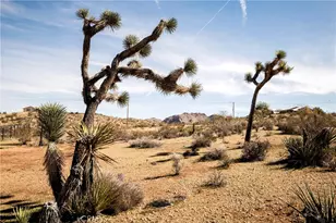 59621 Mesa Dr, Yucca Valley, CA 92284 - Photo 5