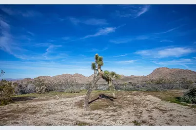 8173 Fleur Drive, Joshua Tree, CA 92252 - Photo 49
