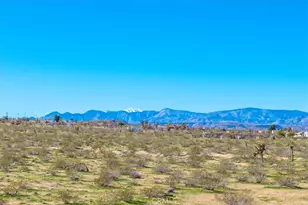 670 Ducor Ave, Landers, CA 92285 - Photo 71