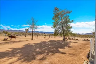 3040 Colabgo, Joshua Tree, CA 92252 - Photo 43