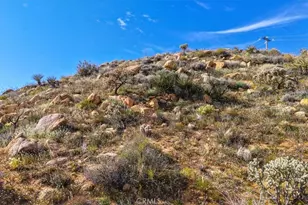 8500 S Samel Rd, Morongo Valley, CA 92256 - Photo 65