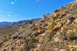 8500 S Samel Rd, Morongo Valley, CA 92256 - Photo 53