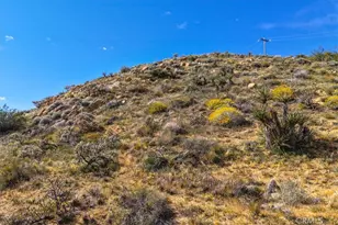 8500 S Samel Rd, Morongo Valley, CA 92256 - Photo 45