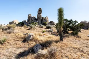 5564 Old Woman Springs Rd, Yucca Valley, CA 92284 - Photo 53