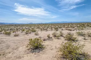 66270 Brants Cross, Joshua Tree, CA 92252 - Photo 63
