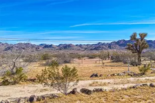 63434 2 Mile Rd, Joshua Tree, CA 92252 - Photo 41