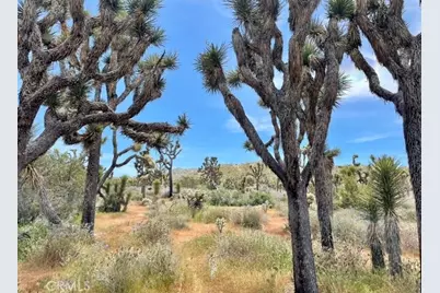 7777 Onaga Trail, Yucca Valley, CA 92284 - Photo 9