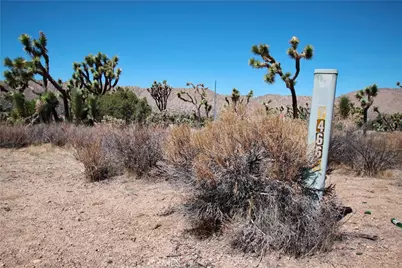 7777 Onaga Trail, Yucca Valley, CA 92284 - Photo 11