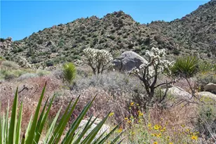 0 San Andreas Rd, Joshua Tree, CA 92252 - Photo 1