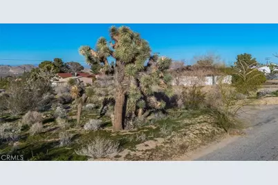 60432 Latham Trail, Joshua Tree, CA 92252 - Photo 1