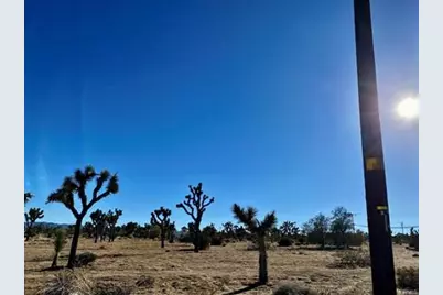 57031 Buena Vista, Yucca Valley, CA 92284 - Photo 13