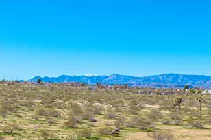 670 Ducor Ave, Landers, CA 92285 - Photo 71