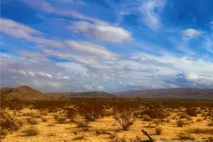 0 Appian Way, Joshua Tree, CA 92252 - Photo 23