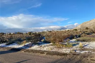 10931 Mescalero, Morongo Valley, CA 92256 - Photo 31