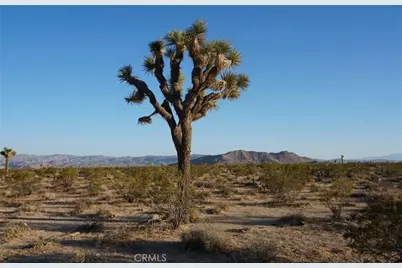 2172 Conejo Avenue, Joshua Tree, CA 92252 - Photo 1