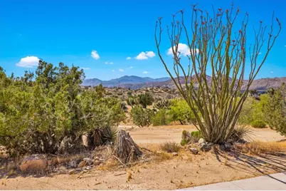55183 Cooper Lane, Yucca Valley, CA 92284 - Photo 3