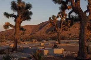 60220 Drexel Rd, Joshua Tree, CA 92252 - Photo 63