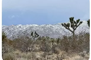 3893 Manchester Ave, Yucca Valley, CA 92284 - Photo 29