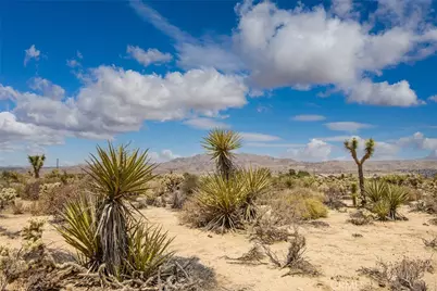 61246 Melton Trail, Joshua Tree, CA 92252 - Photo 7