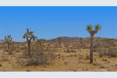 0 N Polands Way, Landers, CA 92285 - Photo 19