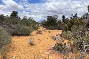7890 Mariposa, Yucca Valley, CA 92284 - Photo 41