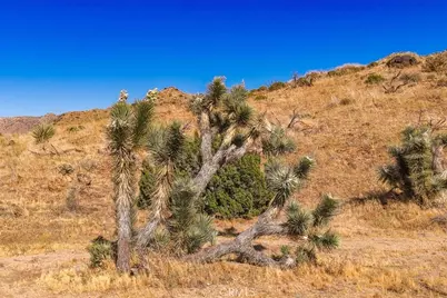 0 Santa Barbara Drive, Yucca Valley, CA 92284 - Photo 45