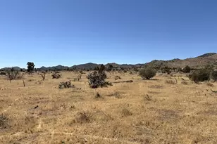 58225 San Andreas Rd, Yucca Valley, CA 92284 - Photo 1