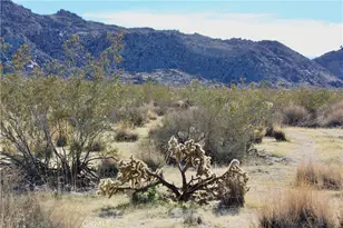 64647 Foothill Dr, Joshua Tree, CA 92252 - Photo 1