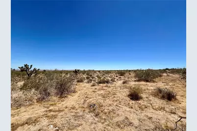 33501 165th Street E, Llano, CA 93544 - Photo 7