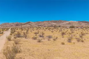 2670 N Sage Ave, Landers, CA 92285 - Photo 51