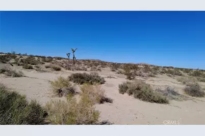 0 Campanula Street, Joshua Tree, CA 92252 - Photo 3