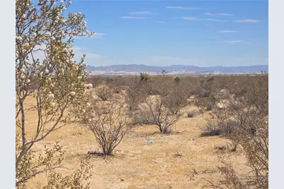 1577 McGarry Road, Joshua Tree, CA 92252 - Photo 3