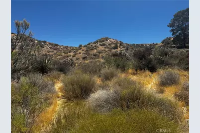 54025 Ridge, Yucca Valley, CA 92284 - Photo 5