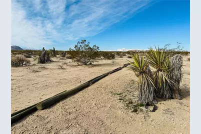 1234 Desert Lily, Joshua Tree, CA 92252 - Photo 1