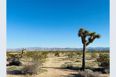 1974 Sunset, Joshua Tree, CA 92252 - Photo 1