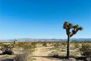 1974 Sunset, Joshua Tree, CA 92252 - Photo 1