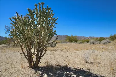 66400 29 Palms Highway, Joshua Tree, CA 92252 - Photo 19