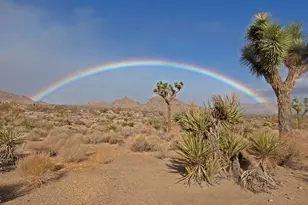 8421 Sunset Rd, Joshua Tree, CA 92252 - Photo 11