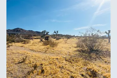 7454 Olympic, Joshua Tree, CA 92252 - Photo 5