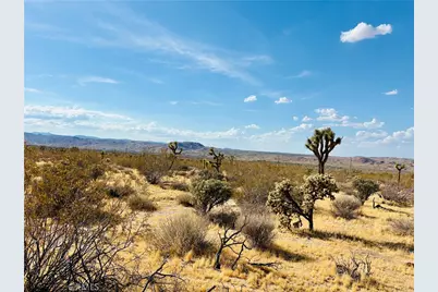7454 Olympic, Joshua Tree, CA 92252 - Photo 13