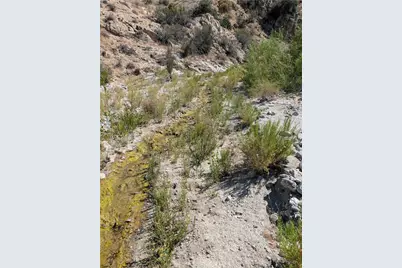 49170 Via Hacienda, Morongo Valley, CA 92256 - Photo 1