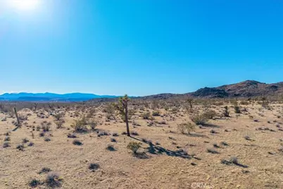 1631 Alta Avenue, Landers, CA 92285 - Photo 17