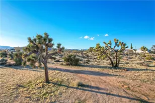 3567 Condalia Ave, Yucca Valley, CA 92284 - Photo 35