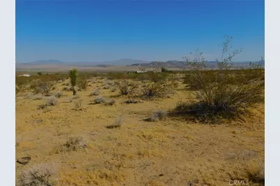 0 Cholla, Johnson Valley, CA 92285 - Photo 15