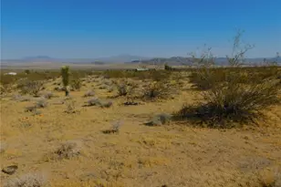 0 Cholla, Johnson Valley, CA 92285 - Photo 15