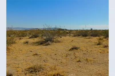 0 Cholla, Johnson Valley, CA 92285 - Photo 13