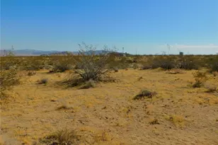 0 Cholla, Johnson Valley, CA 92285 - Photo 13